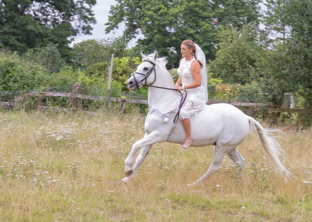 photo of bride riding a white horse bareback through a grassy field